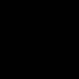 Meet your Posher, Jana